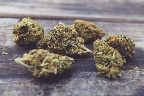 Comparatif des fleurs et résines de cbd : guide des différences