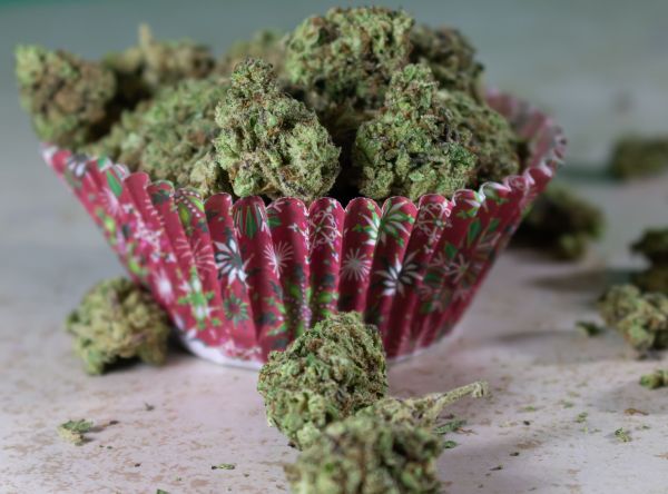 Fleurs cbd : la culture française au cœur de la qualité